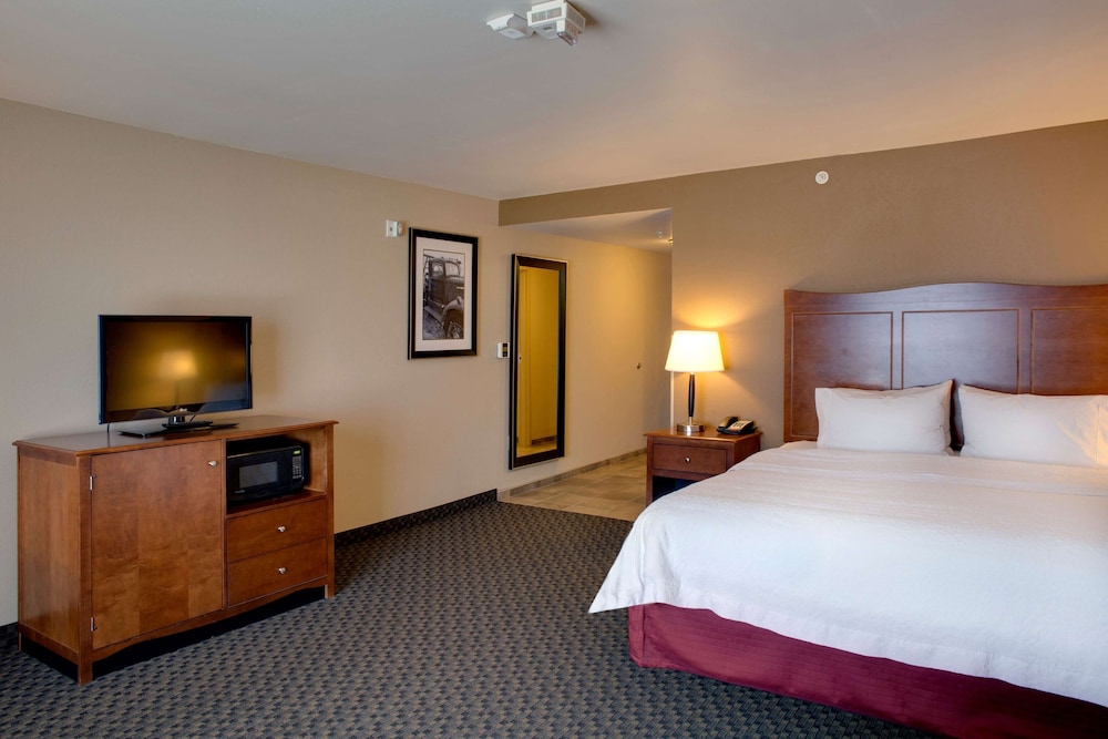 Room, 1 King Bed, Accessible
