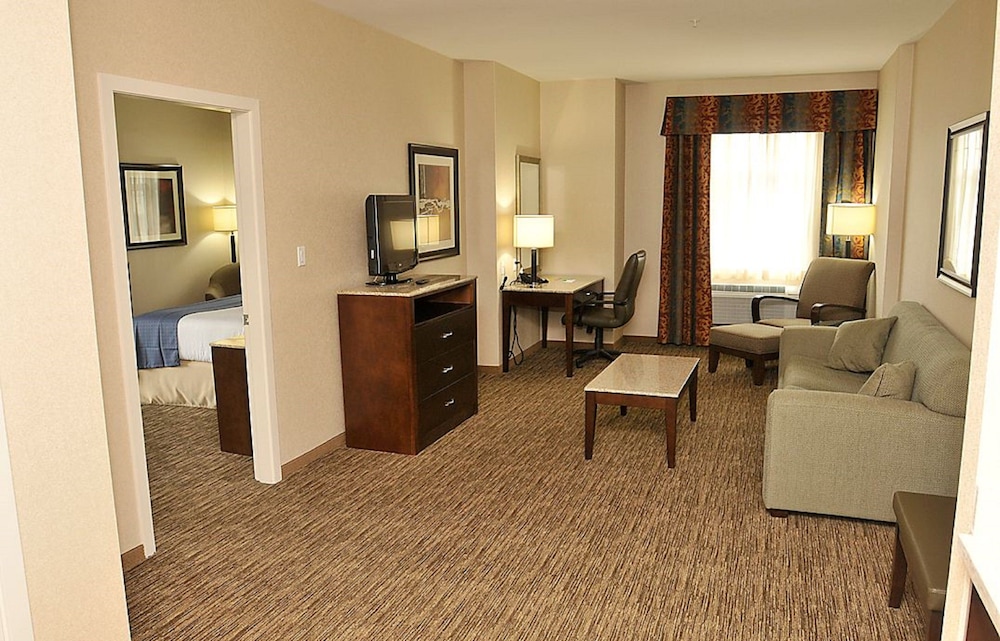 Suite, 1 King Bed, Accessible