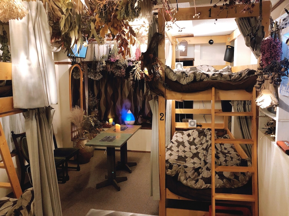 Shared Dormitory, Women only (2nd Floor) photo 1