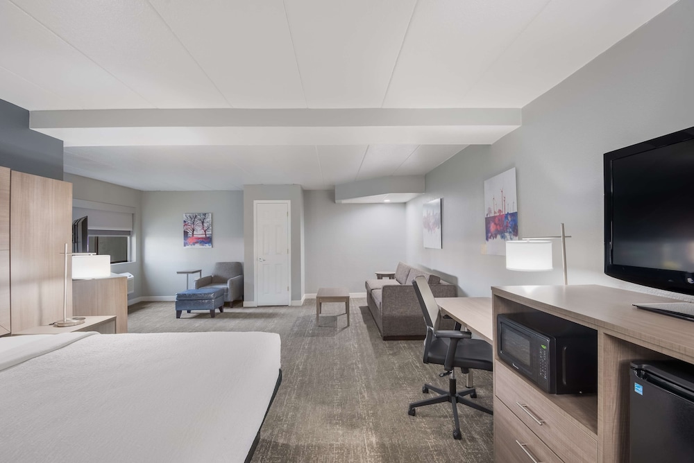 Suite, 1 King Bed, Non Smoking, Refrigerator & Microwave (with Sofabed) - Photo 2