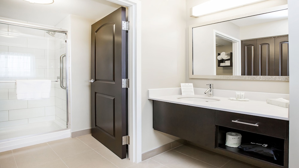 Studio Suite, 1 King Bed with Sofa bed, Accessible, Kitchen thumbnail 6