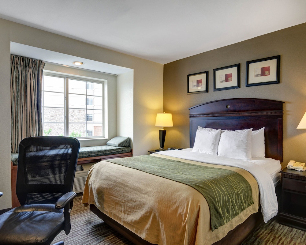 Economy Room photo 1