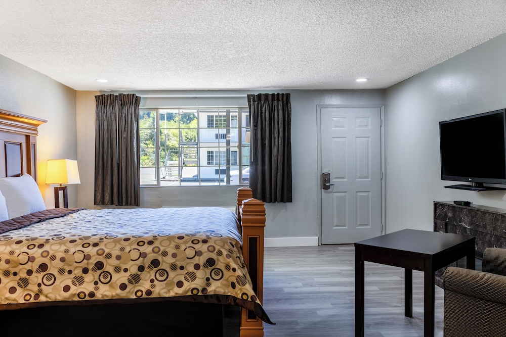 Suite, 1 King Bed - Photo 5