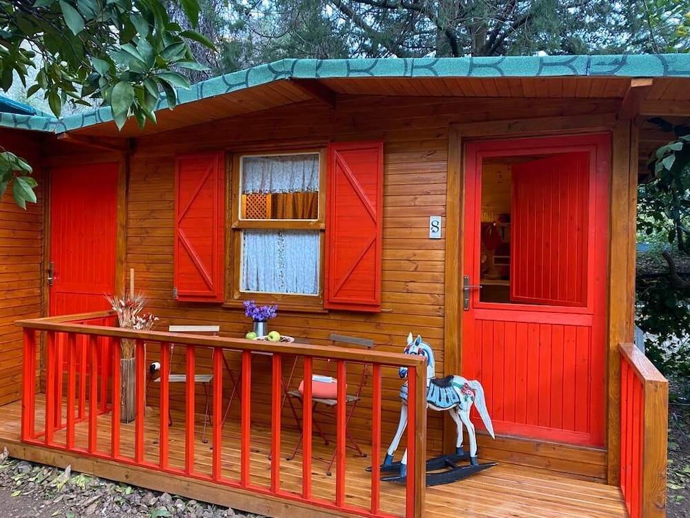 Economy House photo 3