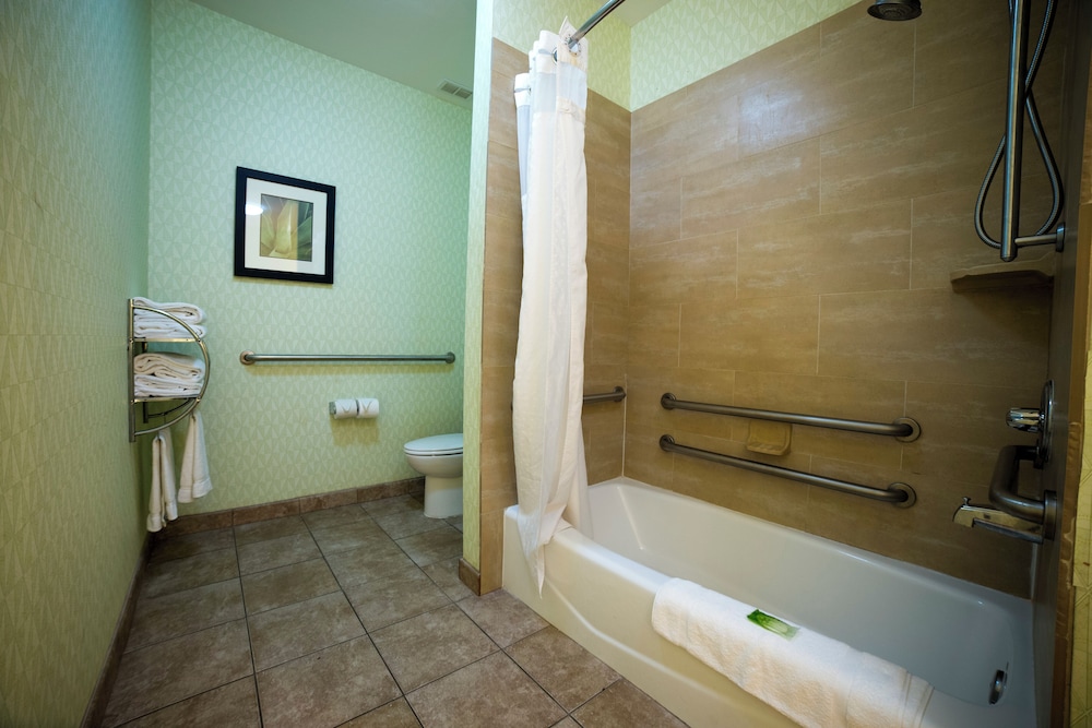 Suite, 1 King Bed with Sofa bed, Accessible (Communications) - Photo 3