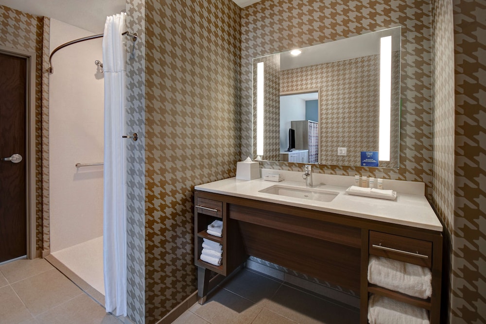 Studio, 1 King Bed, Accessible (Roll-In Shower) - Photo 1
