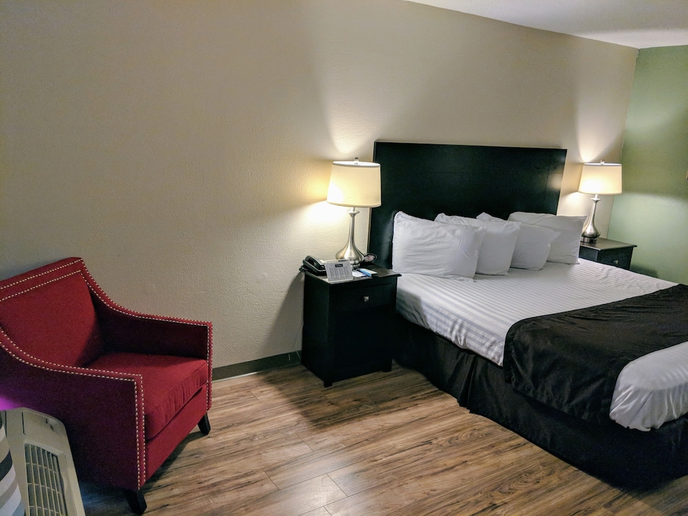 Room, 1 King Bed photo 3