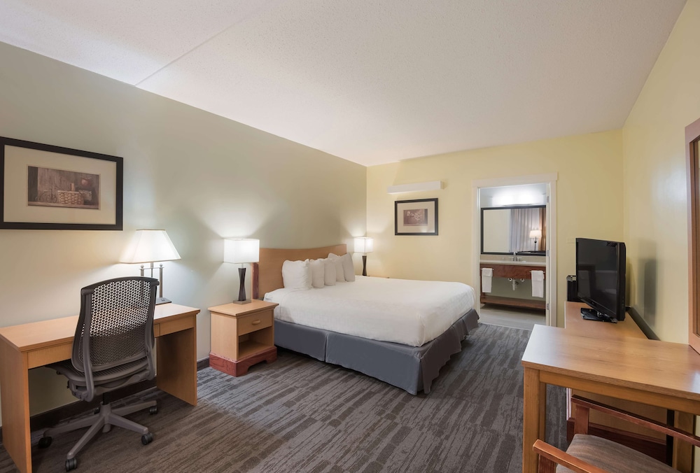 Standard Room, 1 King Bed, Non Smoking, Refrigerator & Microwave - Photo 2