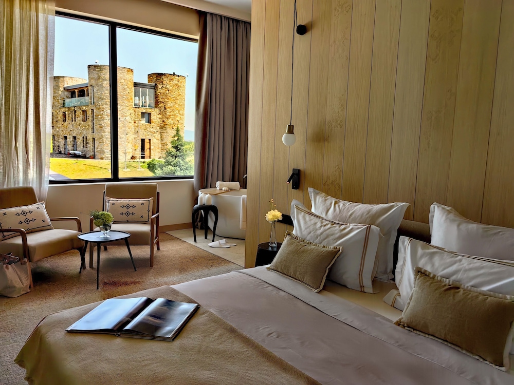 Deluxe Suite - Photo 1