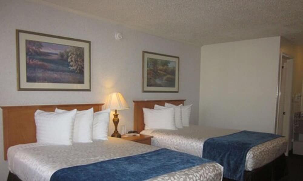 Standard Room, 2 Double Beds, Refrigerator & Microwave photo 3