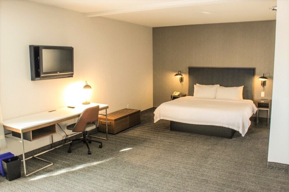 Suite, 1 Bedroom - Photo 2