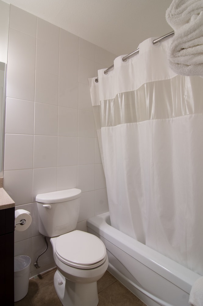 Double Room, 2 Queen Beds photo 2