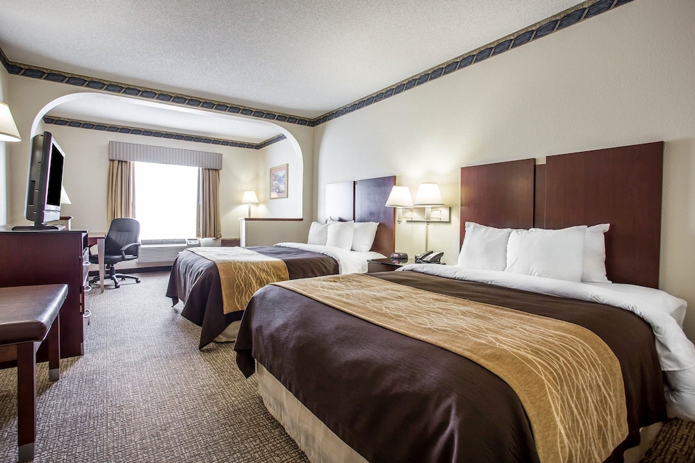 Suite (2 Queen and 1 Sofa bed) photo 1