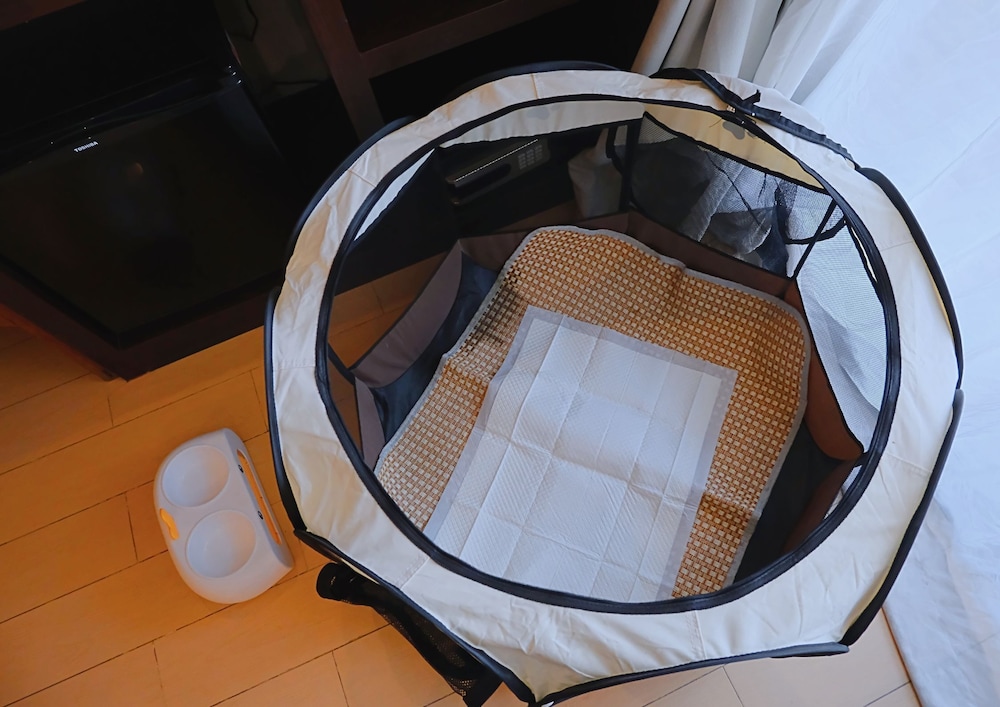 Deluxe Double Room (Pet Friendly) photo 3