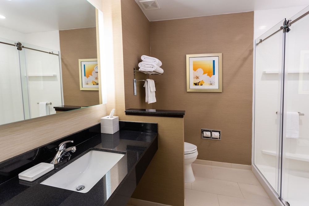 Suite, 1 King Bed with Sofa bed photo 3