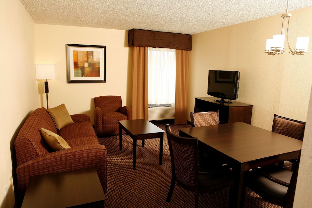 Suite, 1 King Bed, Non Smoking, Jetted Tub (with Sofabed) - Photo 4