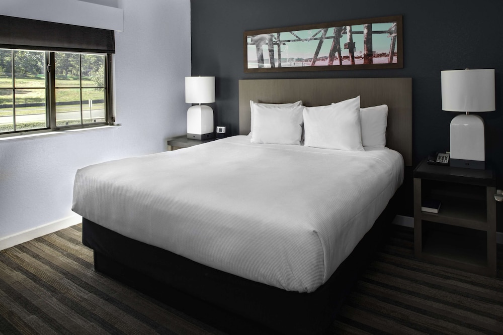 Suite, 1 Bedroom, Accessible, Bathtub - Photo 2