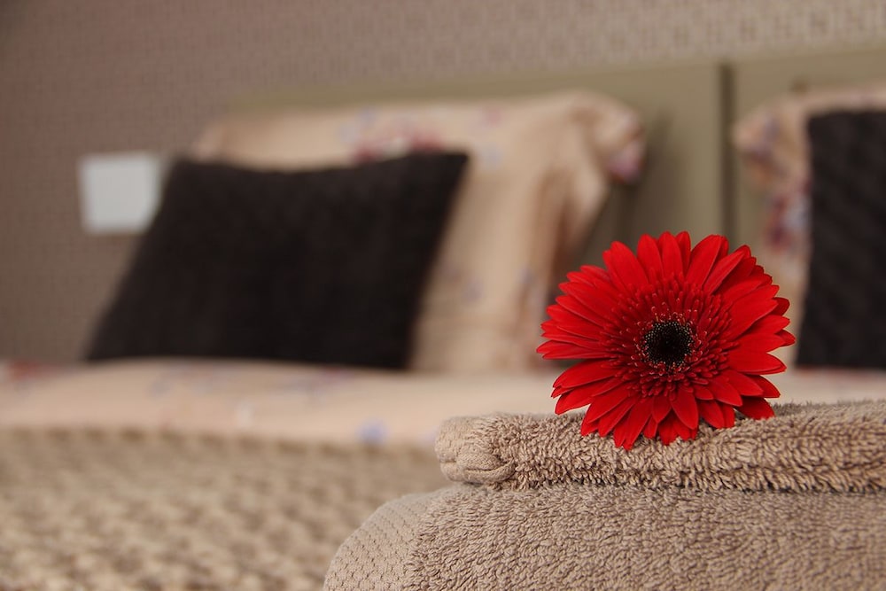 Double Room Single Use photo 2