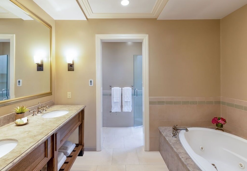 Club Suite, Accessible (Suite) - Photo 3