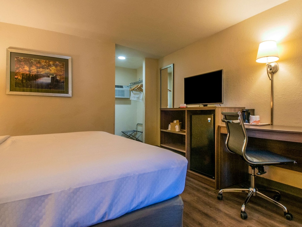 Standard Room, 1 King Bed, Non Smoking, Refrigerator - Photo 5