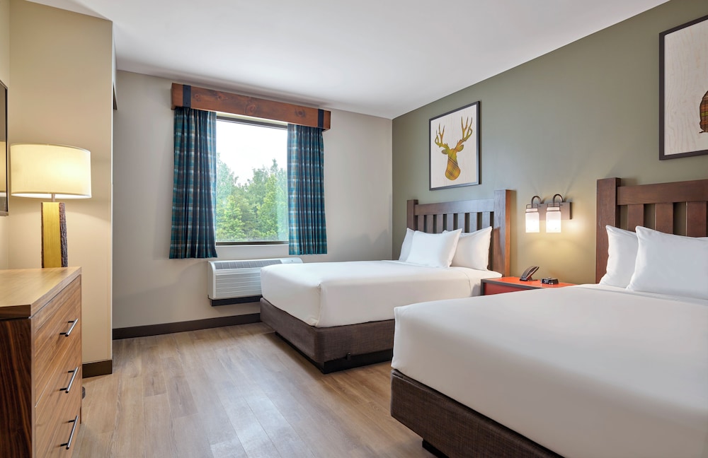 Suite, Accessible (Grizzly Bear) photo 2