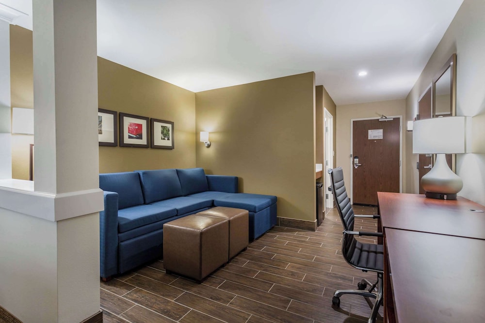Suite, 1 King Bed, Non Smoking photo 3