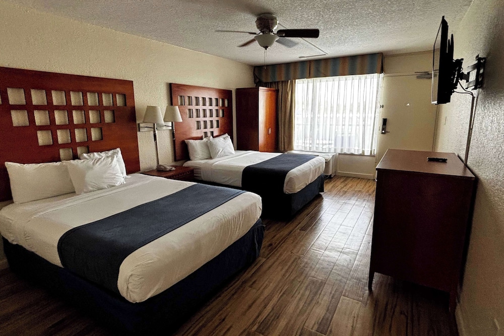 Suite, Multiple Beds, Non Smoking - Photo 1