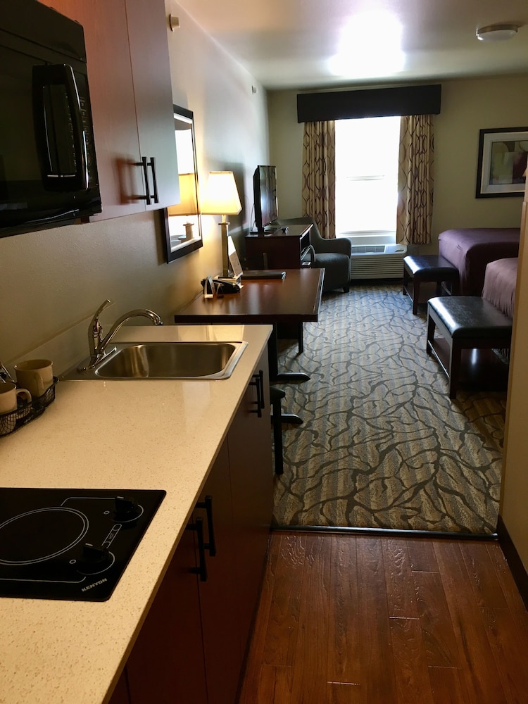 Deluxe Studio Suite, 1 Queen Bed, Kitchenette photo 3