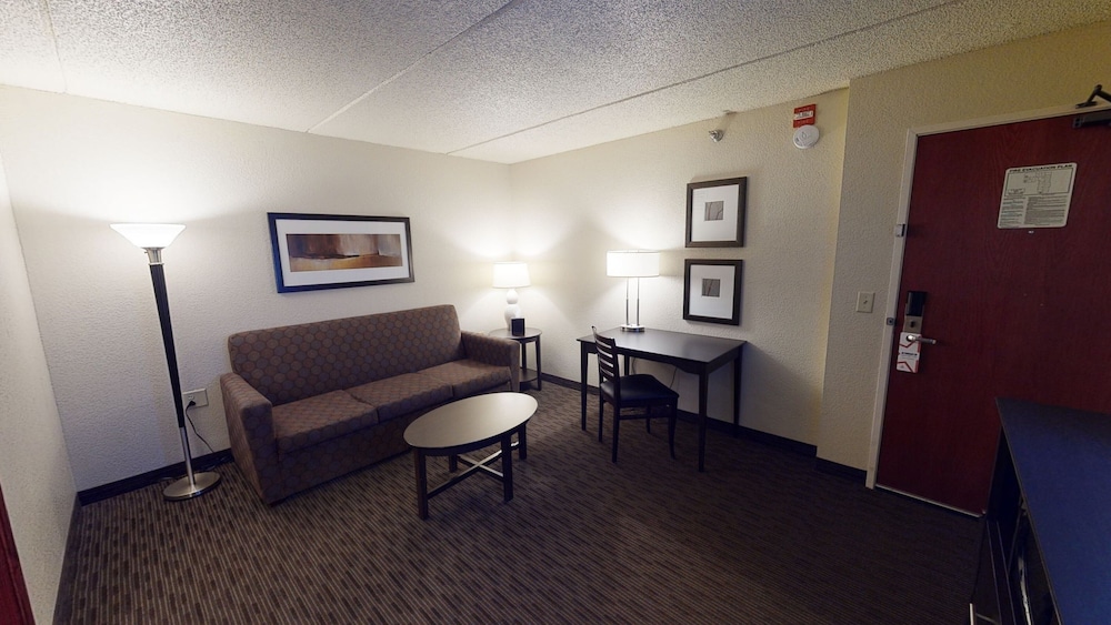 Premier Suite, 1 King Bed, Non Smoking (One-Bedroom Suite) - Photo 3