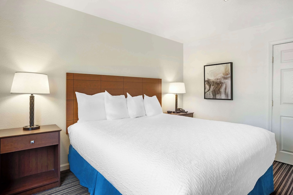 Suite, 1 King Bed, Non Smoking, Refrigerator & Microwave photo 1