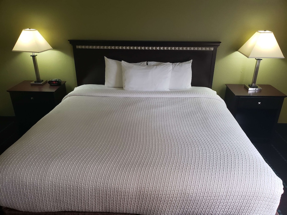 Standard Room, 1 King Bed, Non Smoking, Refrigerator & Microwave - Photo 5