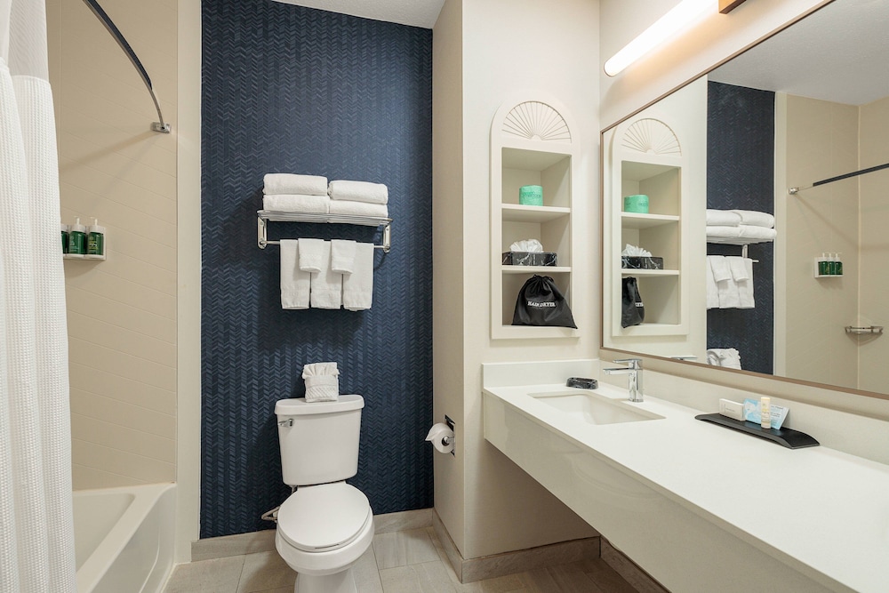 Room, 1 King Bed (Mobility/Hearing Accessible, Tub) photo 3