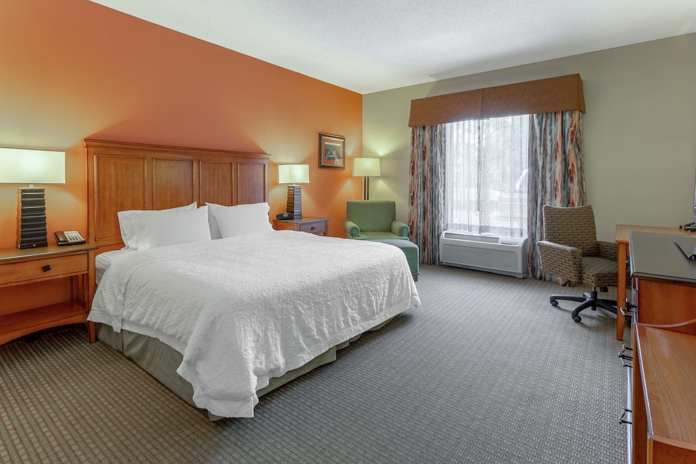 Room, 1 King Bed, Accessible, Non Smoking photo 3