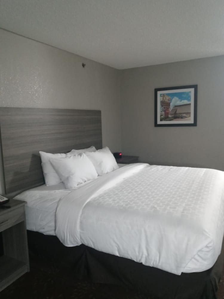 Suite, 1 King Bed, Non Smoking - Photo 7