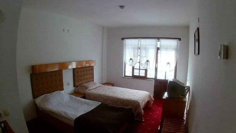 Standard Room, Mountain View