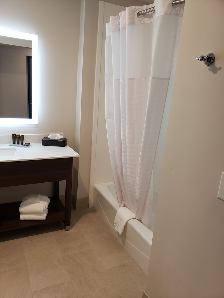 Suite, 1 King Bed, Non Smoking - Photo 8