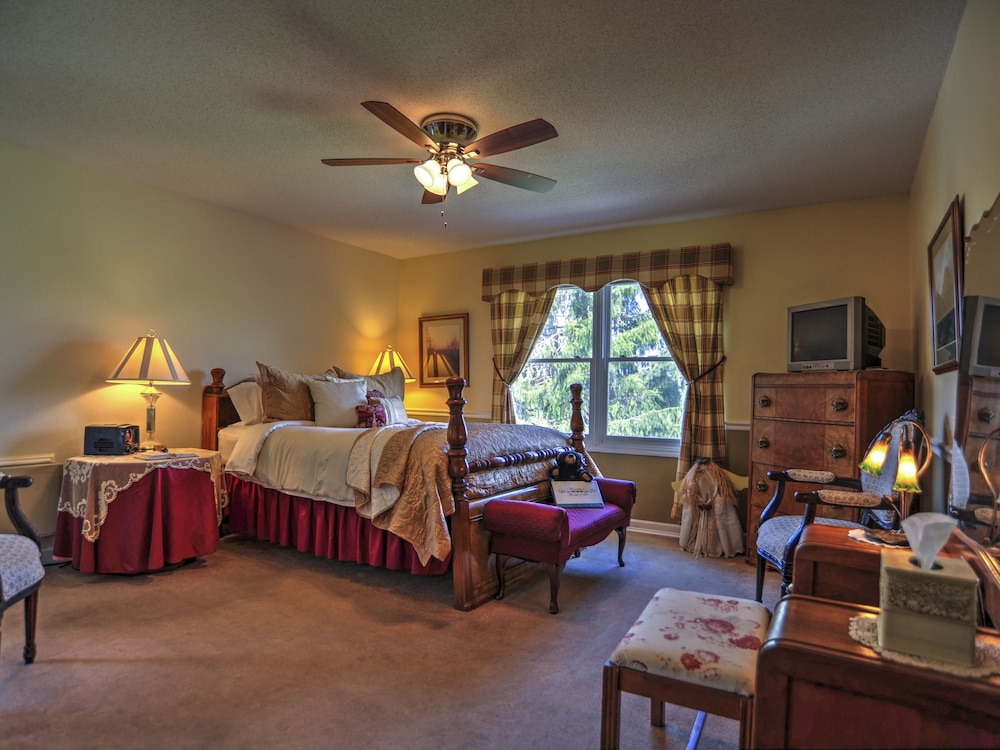 Standard Room, 1 King Bed, Non Smoking, Mountain View