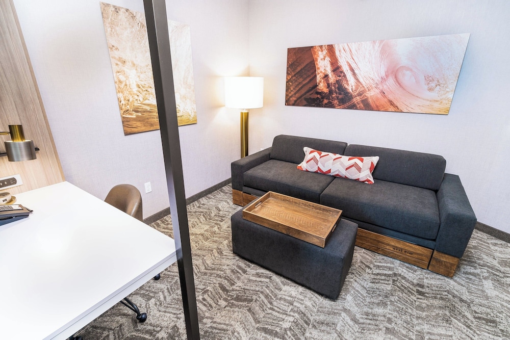 SpringHill Suites by Marriott Ontario Airport/Rancho Cucamonga, Kuva 2