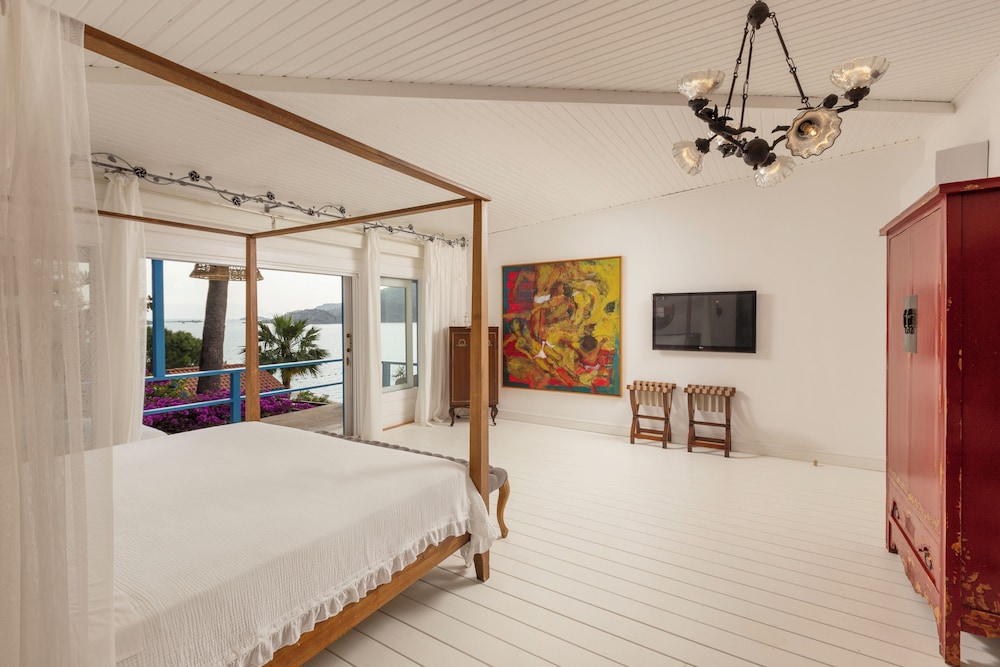 Luxury Room