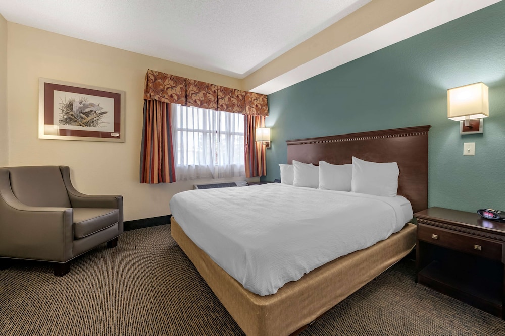 Suite, 1 King Bed With Sofa Bed, Non Smoking, Refrigerator & Microwave (With Sofabed) - Photo 1