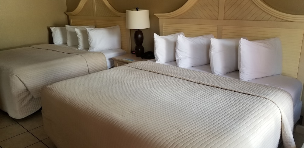 Studio Suite, Multiple Beds, Non Smoking - Photo 2