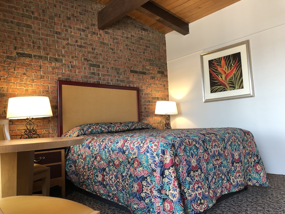 Standard Single Room, Accessible photo 3
