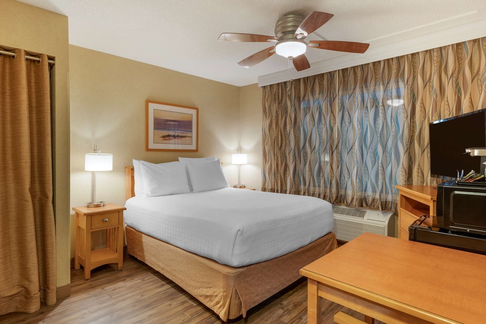 Economy Room, 1 Queen Bed, Non Smoking, Refrigerator & Microwave (Small room) photo 1
