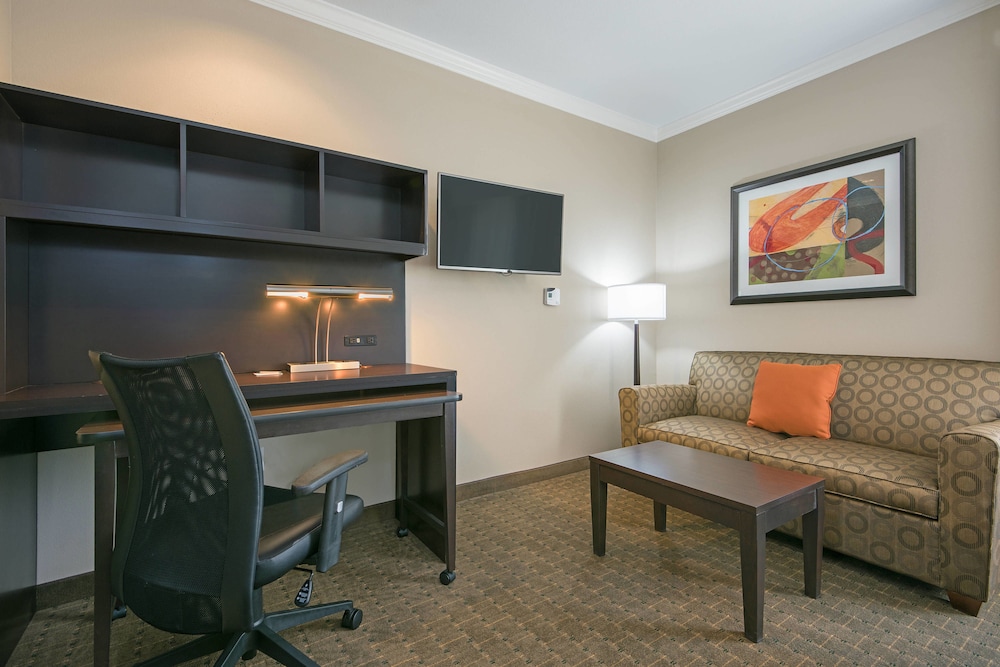 Studio Suite, 1 King Bed with Sofa bed photo 2