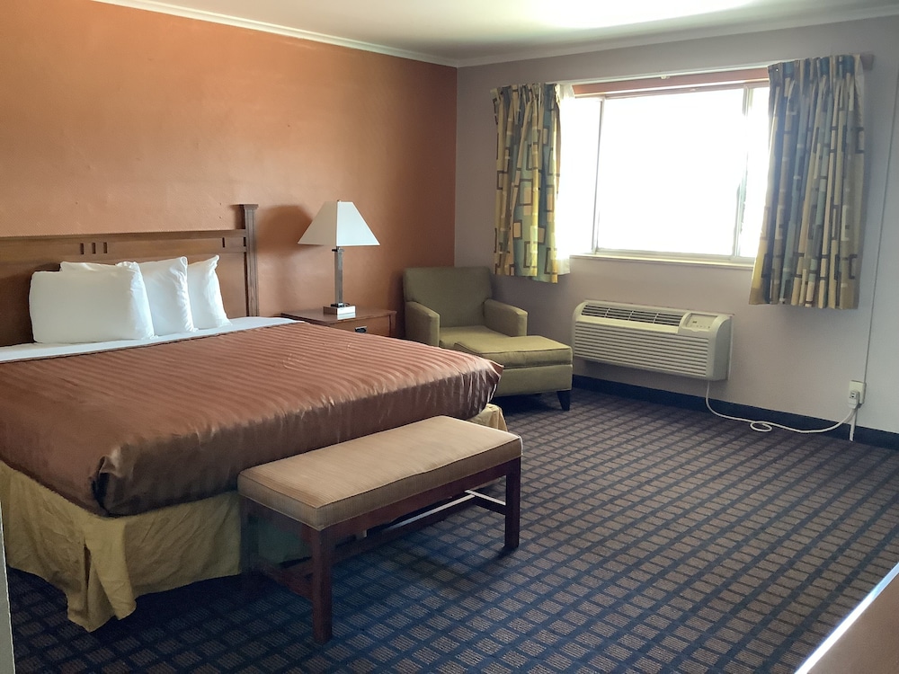 1 bedroom King Apt (DKAS) photo 2