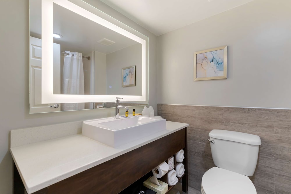 Suite, 1 King Bed, Non Smoking, Refrigerator & Microwave (with Sofabed) - Photo 4