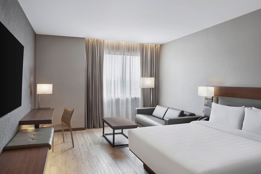 Room, 1 King Bed with Sofa bed