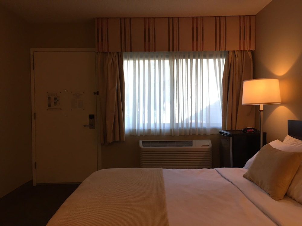 Room, 1 Queen Bed, Accessible, Non Smoking thumbnail 6