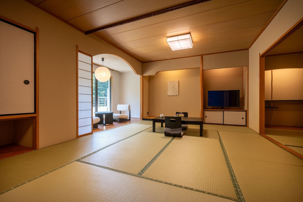Deluxe(japanese-style), Non Smoking photo 1