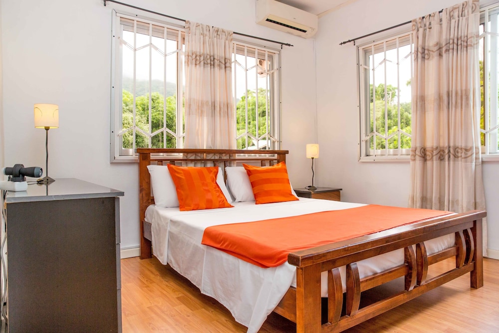 Room, 1 Queen Bed, Mountain View photo 3
